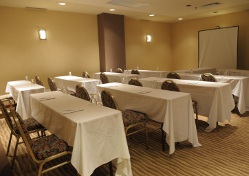 Conference Room in Montreal | Salon Peel